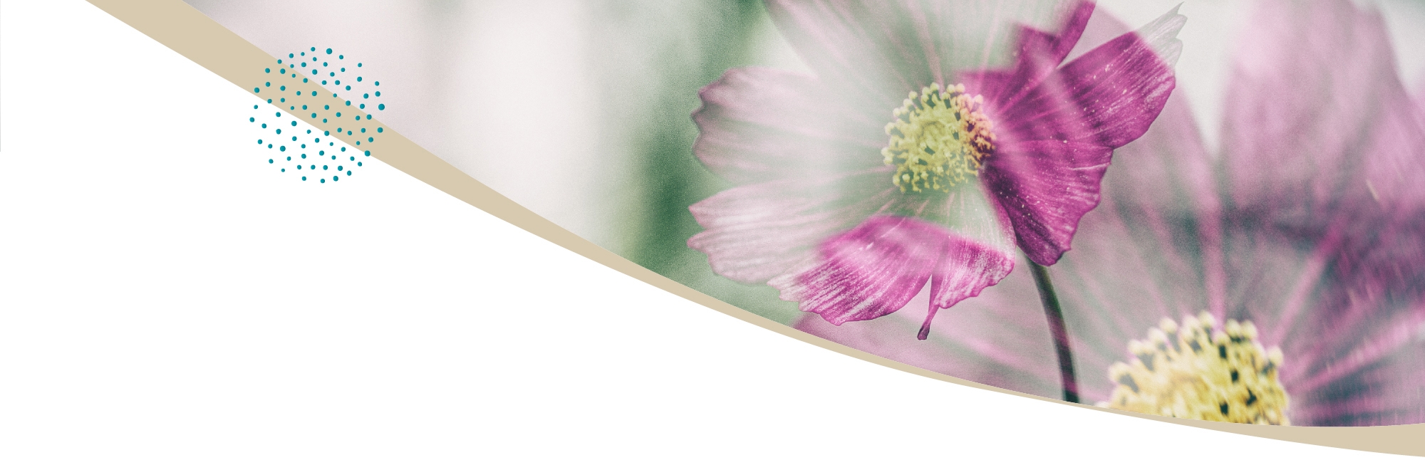 Header Nos réalisations