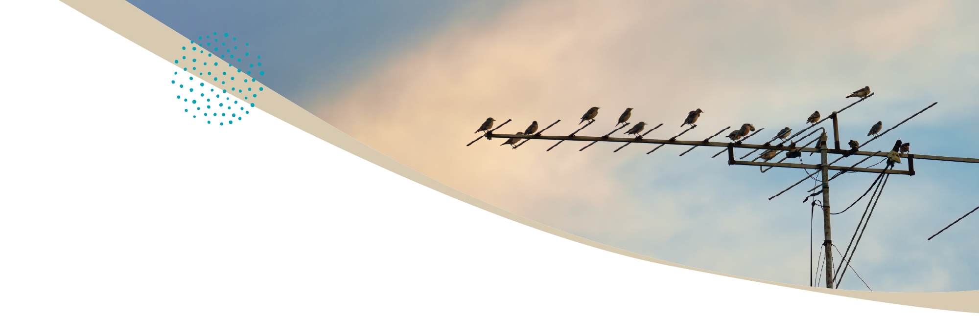 communication digitale