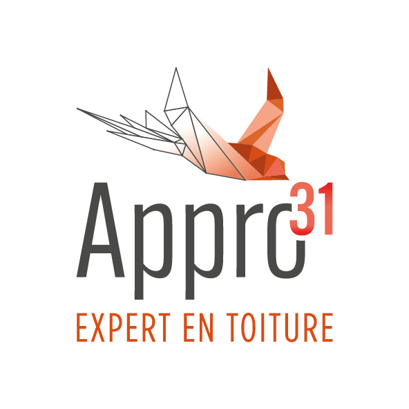 logo appro 31